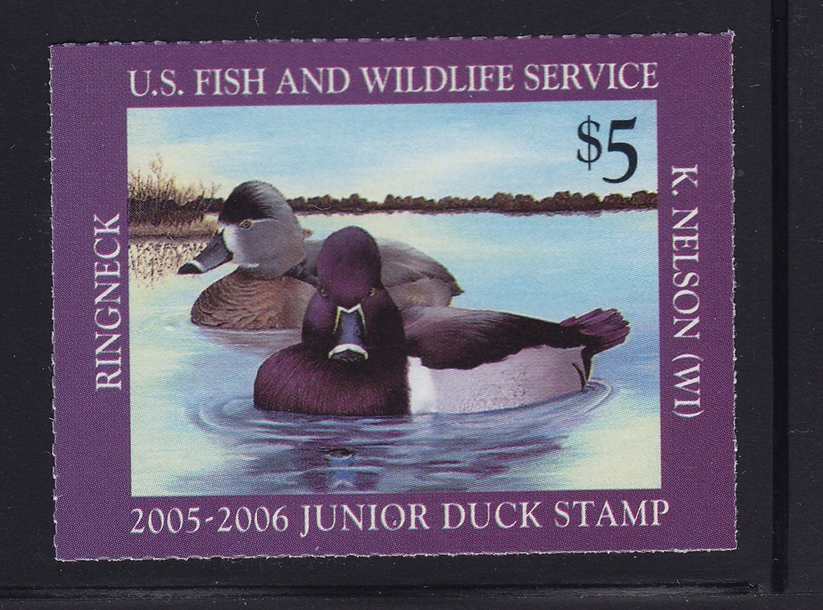 JDS 13 VF original gum mint never hinged with nice color cv $ 25