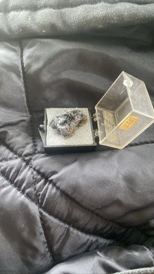 Specimen w/ Display Case & ID Card Rock Crystal Collection