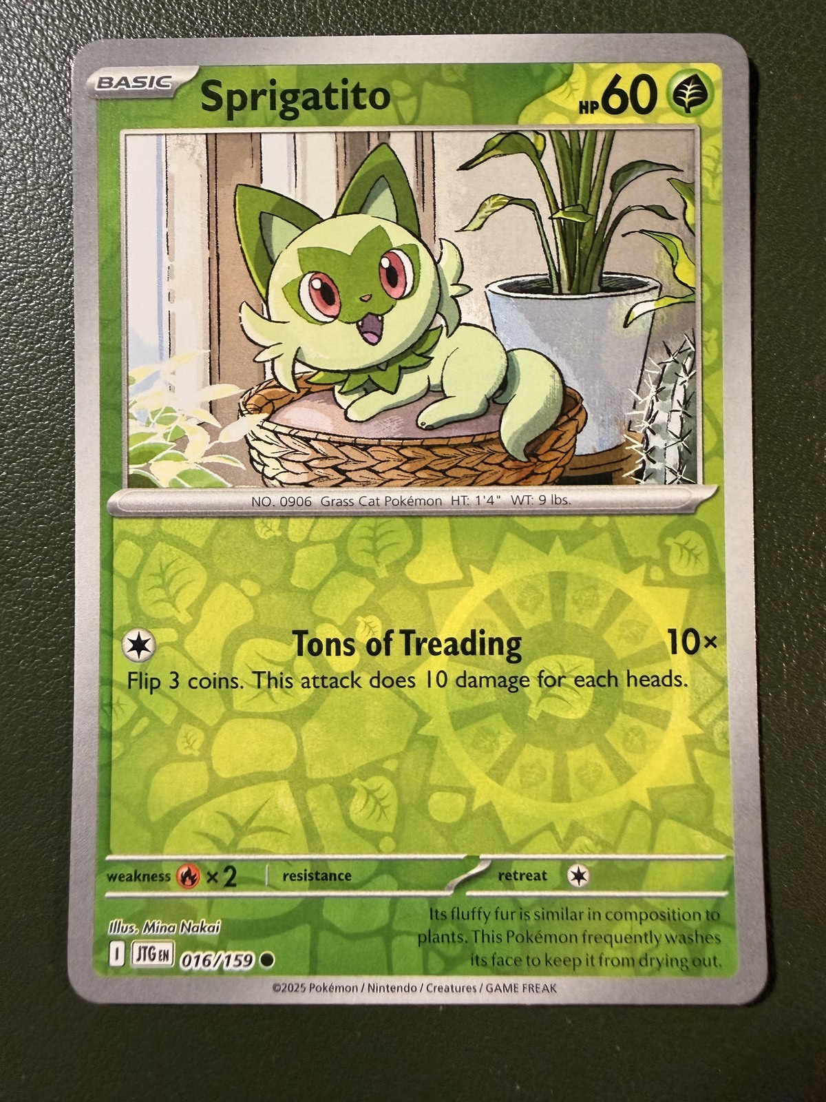 Pokemon TCG Sprigatito 16/159 Journey Together SV9 Reverse Holo NM