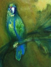 Canvas wrapd Print 16x20