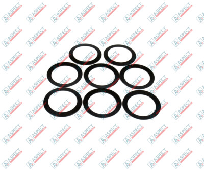 Hitachi HPK055 Disk Spring 4289874 Set of 8 pc | eBay