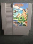 Adventure Island 3 (Nintendo Entertainment System, 1992)