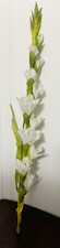 1 Artificial White Gladiolus Flowers Stem approx 25 in long very good condition