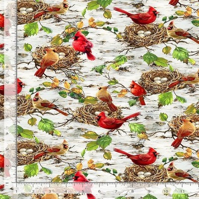 Animal Fabric | Secret Hollow Cardinal Nest Birch | Timeless Treasures YARD