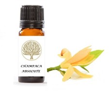 أخرى الصحة والجمال — 100% Pure Champaca Absolute Oil