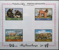 Afghanistan 1974 Wildtiere Rassehund ungezähnt Mi B70 (1252)