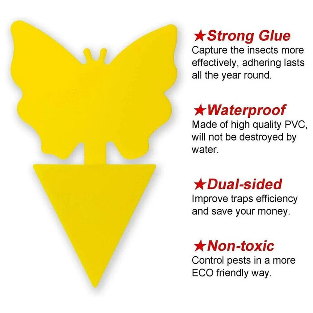 50Pcs Sticky Fly Traps for Fruit Flies Gnat Out/Indoor Plant Fly Traps