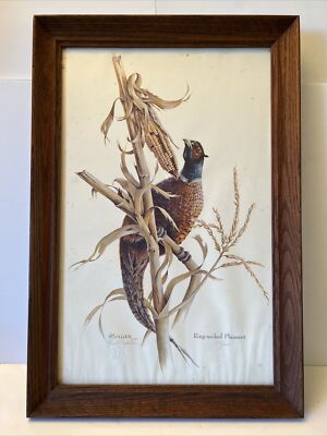 VTG Harry Moeller 1969Signed Ring Necked Pheasant Lithograph Print Framd 24 x17 