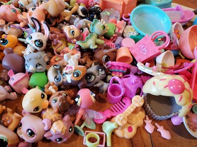 cat accessories ebay