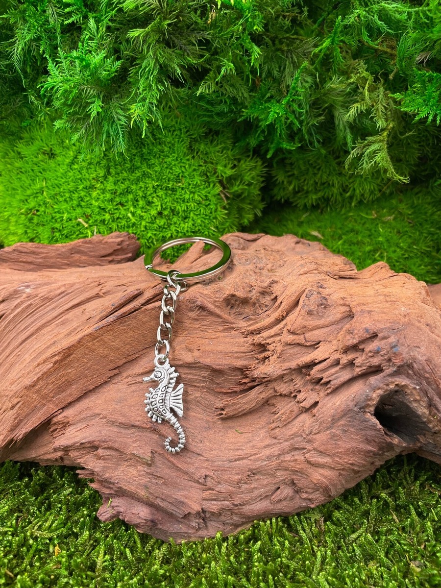 Schlüsselanhänger Seepferdchen Versilbert – 12x3,5cm, Mit Geschenketui, Maritimer Glücksbringer