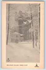 Maynards Massachusetts MA Postcard Wellesley College Tower Court The City c1910s