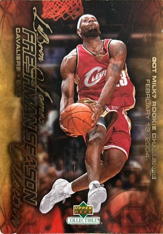 2003-04 Upper Deck LeBron James Freshman Season Collection