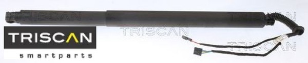 Triscan 871029311 Gasfeder FüR Koffer-/Laderaum Gasfeder GasdäMpfer FüR Skoda-image