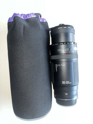 Canon EF 100-300mm f/5.6 Telephoto Zoom Lens (Tested)