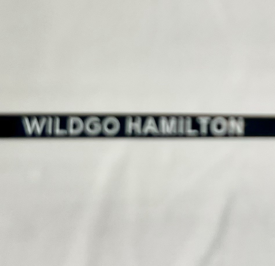 Wildgo Hamilton Sun Rimless Rectangular Sunglasse… - image 4