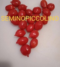 25 Semi Pomodoro Piennolo Del Vesuvio 