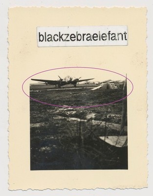 2542- Foto wk2  Ansammlung von Deutschen  Flugzeugen auf Flugplatz