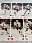 Chicago Blackhawks Commemorative 1993-94 Team Photo Album NHL Hockey — photo 2