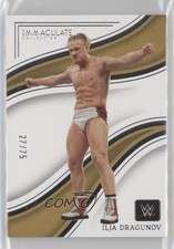 2023 Panini Immaculate WWE 27/75 Ilja Dragunov #66 0c3