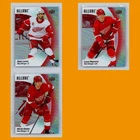 Detroit Red Wings Lot 3 Hockey Cards Upper Deck Allure Sunrise Rare Parallel NM
