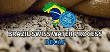 5 LB BRAZIL SWP SWISS WATER PROCESS UNROASTED GREEN COFFEE BEANS - ARABICA DECAF