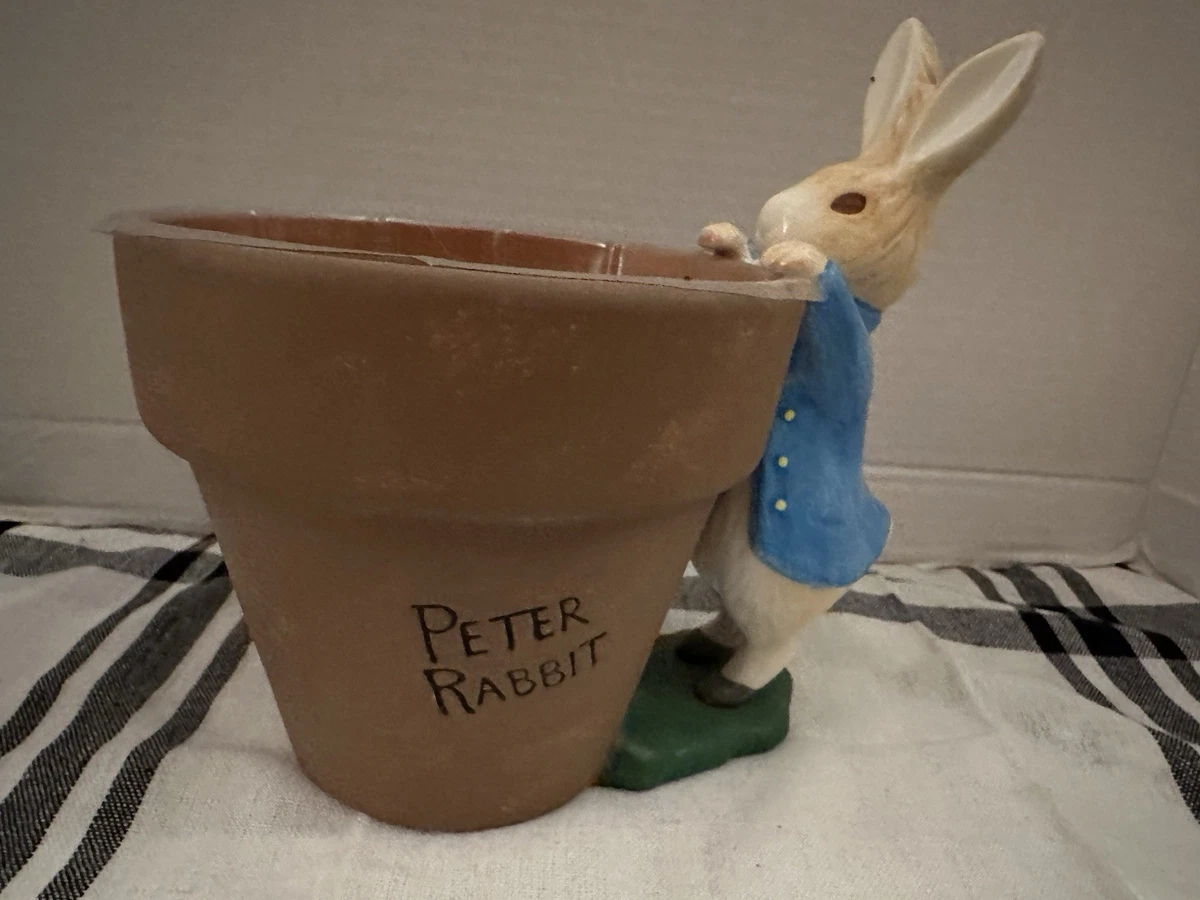 25+ peter rabbit planter for sale | Updated Oct 2026