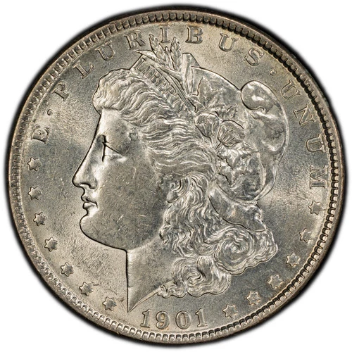 1901-P Morgan Dollar — photo from the most recent tracked eBay sale