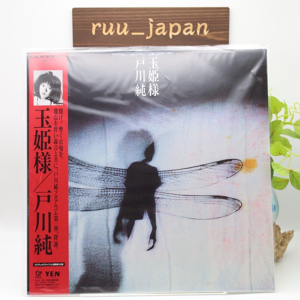 ｔａｍａ☆彡 様＊ Jun Togawa / Tamahime Sama 1984 Clear Red Vinyl LP Japan New