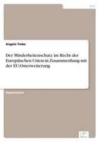 Der Minderheitenschutz Im Recht Der EuropäIschen Union In Zusammenhang Mit Der E