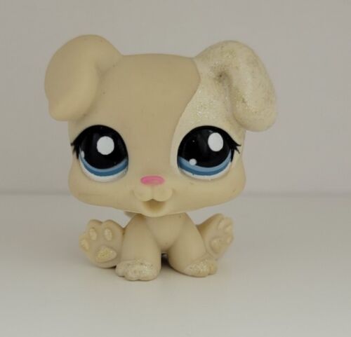 Littlest Pet Shop - PUPPY DOG #1706 - Cream and White w/ Blue Eyes Blemished - 第 1/3 張圖片