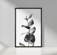 Black and White Botanical Tropical Wall Art Prints Living Room Bedroom Pictures