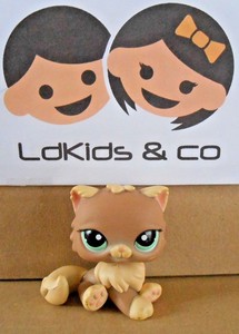 Hasbro Lps Petshop Littlest Pet Shop Chat Persan Beige Jaune Yeux Verts 1063 Ebay
