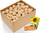 Meisenknödel ohne Netz 200 Stück á 90 gr Ganzjahresfutter inkl. Samenmischung