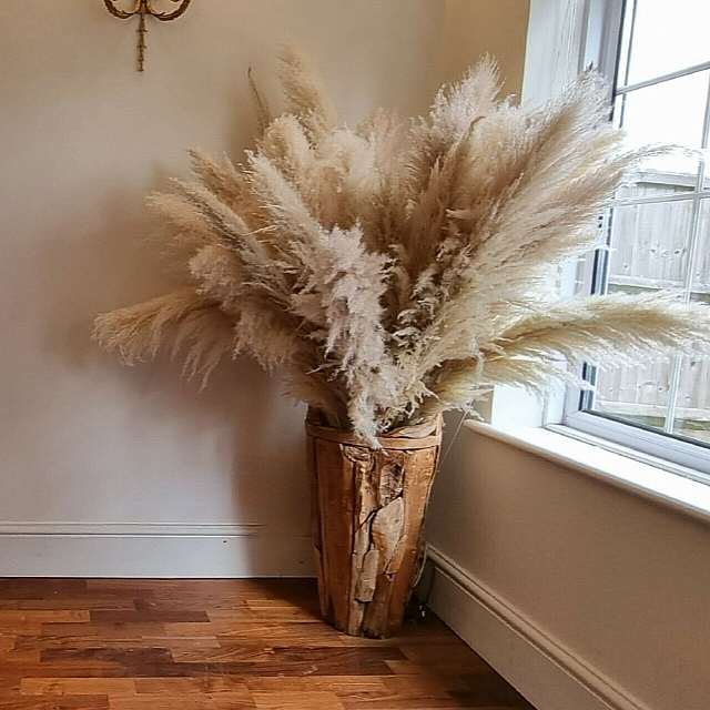 Beige natural pampas deluxe