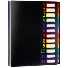 Shappy 12 Pocket Expanding File Folder with Rainbow File Folders Organizer Mu...