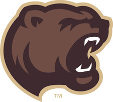 Hershey Bears sticker weatherproof bumper vinyl decal
