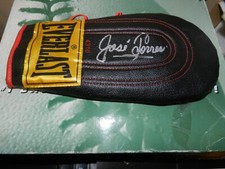 JOSE TORRES AUTOGRAPHED VINTAGE EVERLAST BAG BOXING GLOVE  