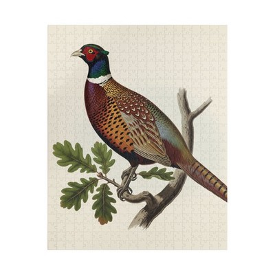 Ring-necked pheasant jigsaw puzzle 520-piece bird watcher lover indoor fun