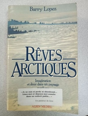 Arktische Träume: Fantasie und Sehnsucht in einer nordischen Landschaft | Guter Zustand