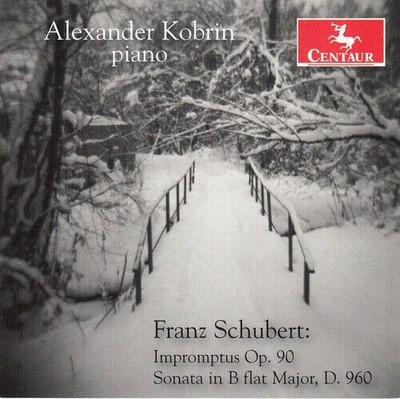 Schubert Impromptus Op. 90 Sonata In B Flat Major D.960 CD