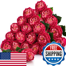 Giegxin 20 Pcs Real To Lifelike Peonies Austin Roses Artificial Flowers Faux
