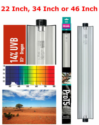 terrarium lamp fitting