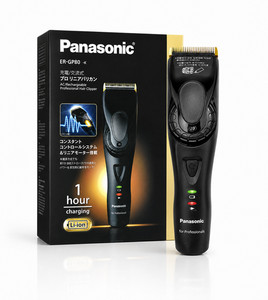 Panasonic Gp80 | eBay