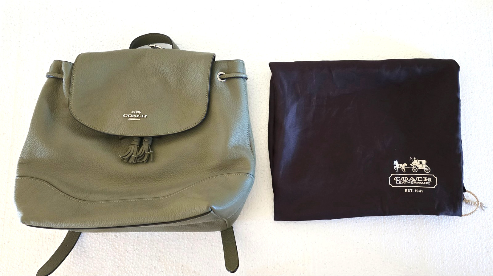 Coach Elle F72645 Sage Green Leather Backpack Purse Drawstring never been used