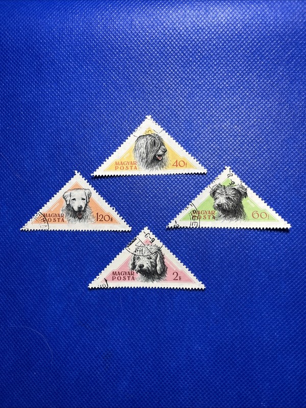 4 Hungarian Dog Triangular Stamps , 1960 , Uncommon 
