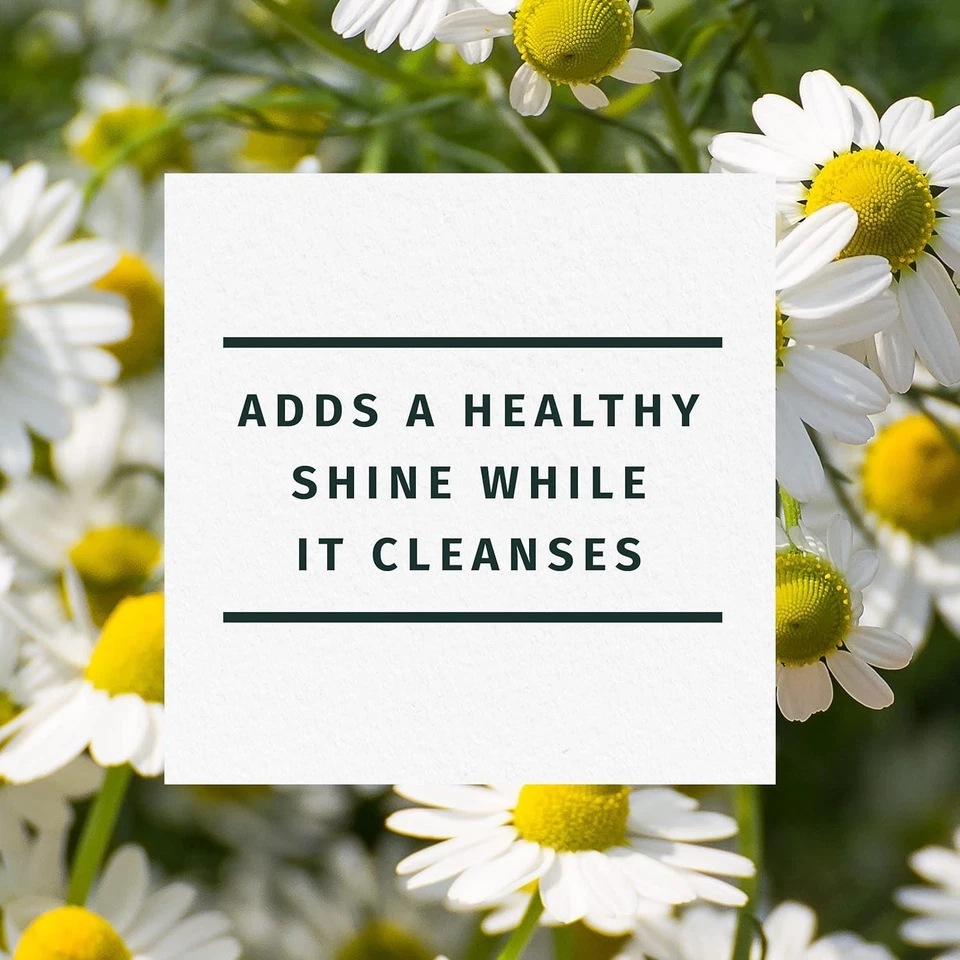 Herbal Essences Shine Brillance Shampoo, Meadow-Fresh Chamomile 865 ml/29.2 f oz - Image 3 of 4