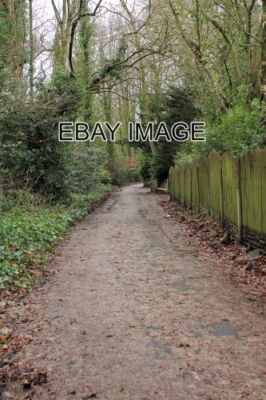 FOTO HÖHER PENWORTHAM DER WEG HINUNTER NACH PENWORTHAM BROW DIESE SCHMALE STRASSE WH