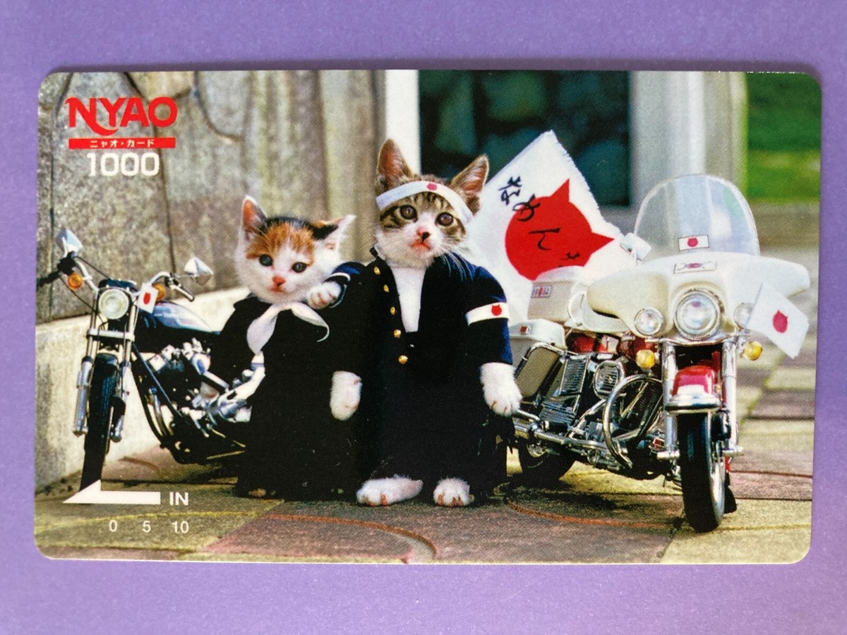 Namennayo Cat Perlorian Cats Nameneko NYAO Card Japanese JP very