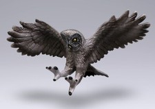 Owl Bird Wild Animal Toy PVC Action Figure Doll Kids Toys Party Gifts