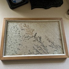 Framed natural manganese oxide dendrite embedded in sandstone slab